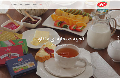 طراحی سایت wordpress اصفهان